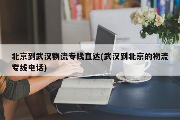 北京到武汉物流专线直达(武汉到北京的物流专线电话)