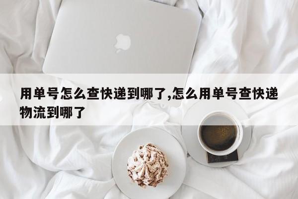 用单号怎么查快递到哪了,怎么用单号查快递物流到哪了