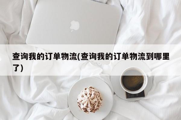 查询我的订单物流(查询我的订单物流到哪里了)