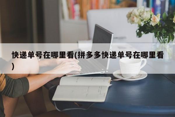 快递单号在哪里看(拼多多快递单号在哪里看)