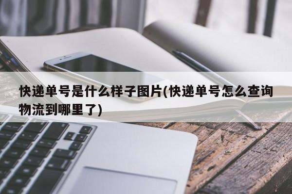 快递单号是什么样子图片(快递单号怎么查询物流到哪里了)