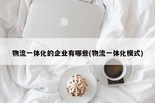 物流一体化的企业有哪些(物流一体化模式)