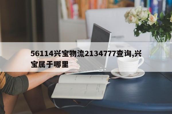 56114兴宝物流2134777查询,兴宝属于哪里