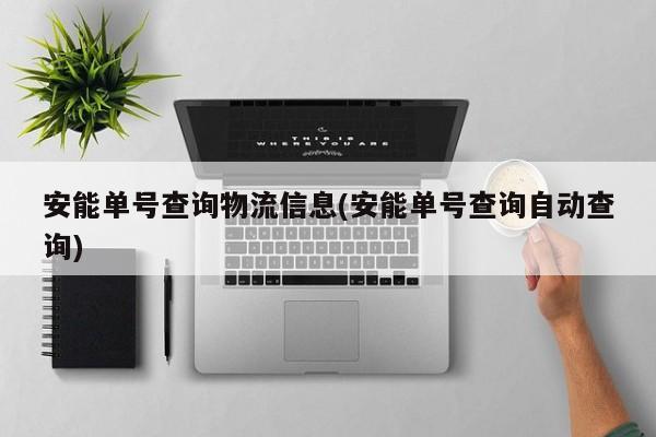 安能单号查询物流信息(安能单号查询自动查询)