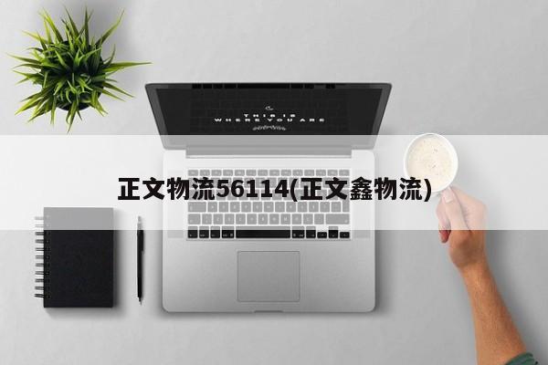 正文物流56114(正文鑫物流)