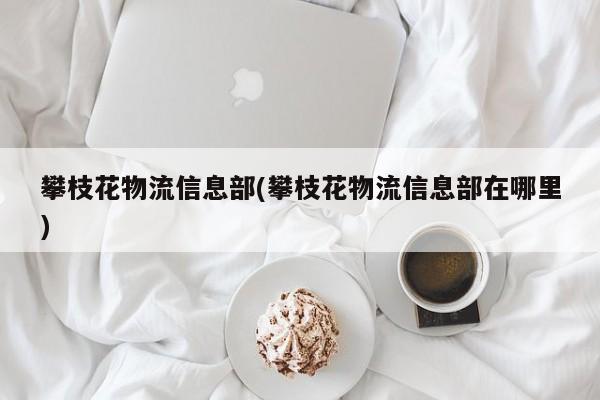 攀枝花物流信息部(攀枝花物流信息部在哪里)