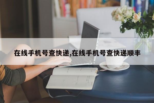 在线手机号查快递,在线手机号查快递顺丰