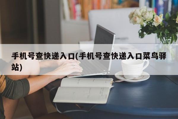 手机号查快递入口(手机号查快递入口菜鸟驿站)