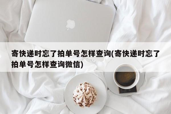 寄快递时忘了拍单号怎样查询(寄快递时忘了拍单号怎样查询微信)