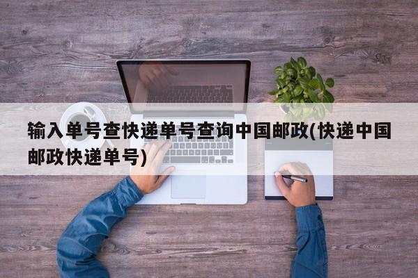 输入单号查快递单号查询中国邮政(快递中国邮政快递单号)