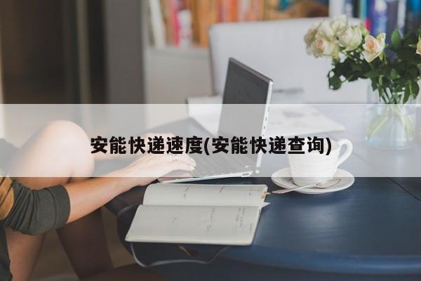 安能快递速度(安能快递查询)
