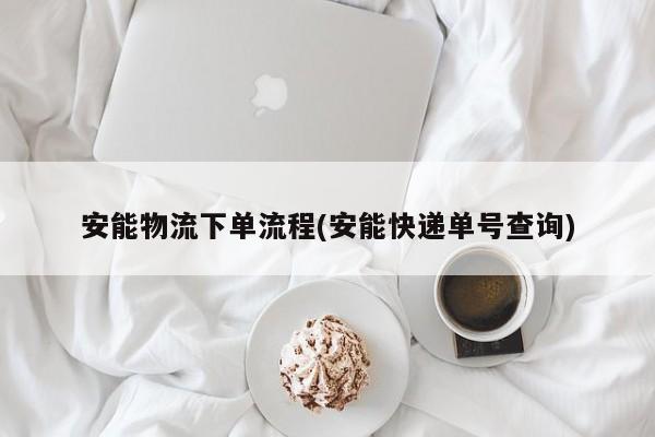 安能物流下单流程(安能快递单号查询)