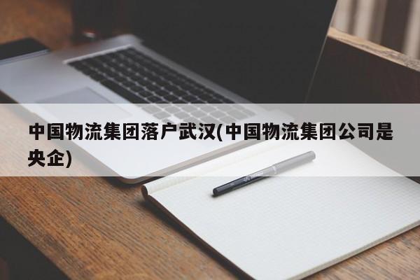 中国物流集团落户武汉(中国物流集团公司是央企)