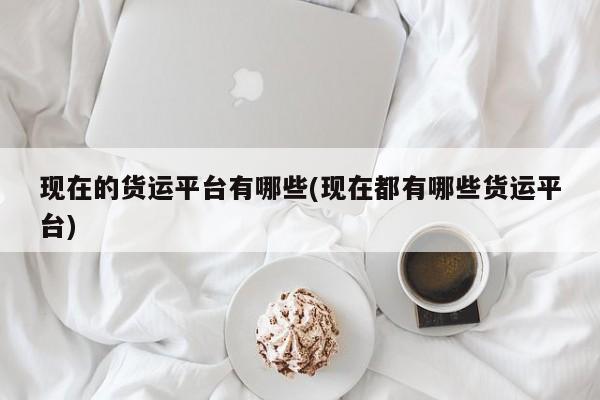现在的货运平台有哪些(现在都有哪些货运平台)