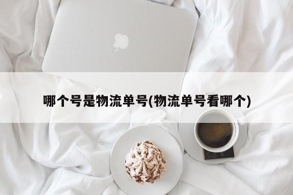 哪个号是物流单号(物流单号看哪个)