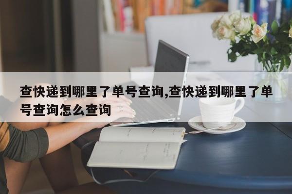 查快递到哪里了单号查询,查快递到哪里了单号查询怎么查询