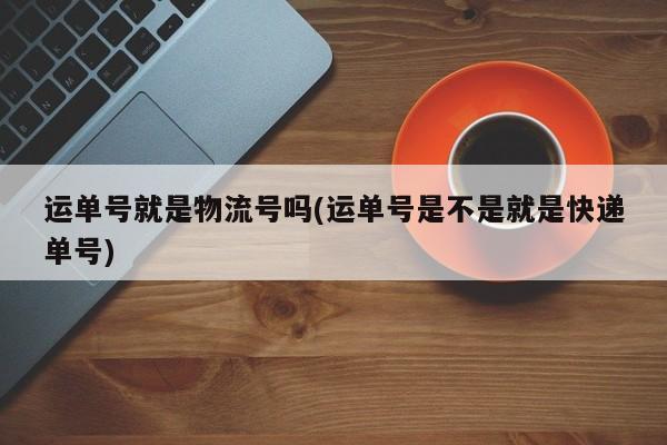 运单号就是物流号吗(运单号是不是就是快递单号)